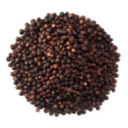 Black Pepper